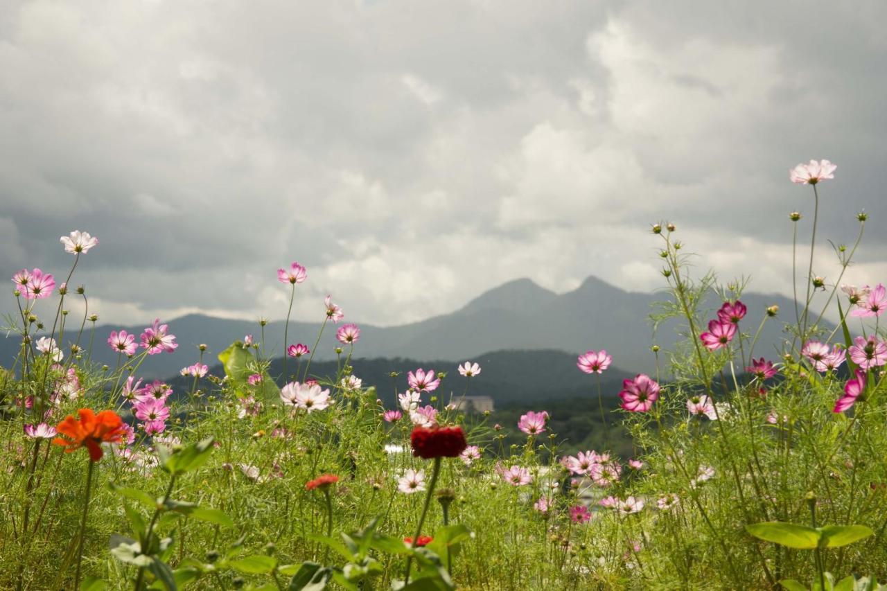Thang Nam Ruc Ro - Dalat Homestay エクステリア 写真