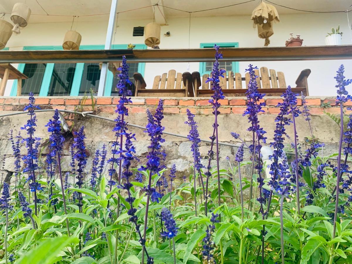 Thang Nam Ruc Ro - Dalat Homestay エクステリア 写真