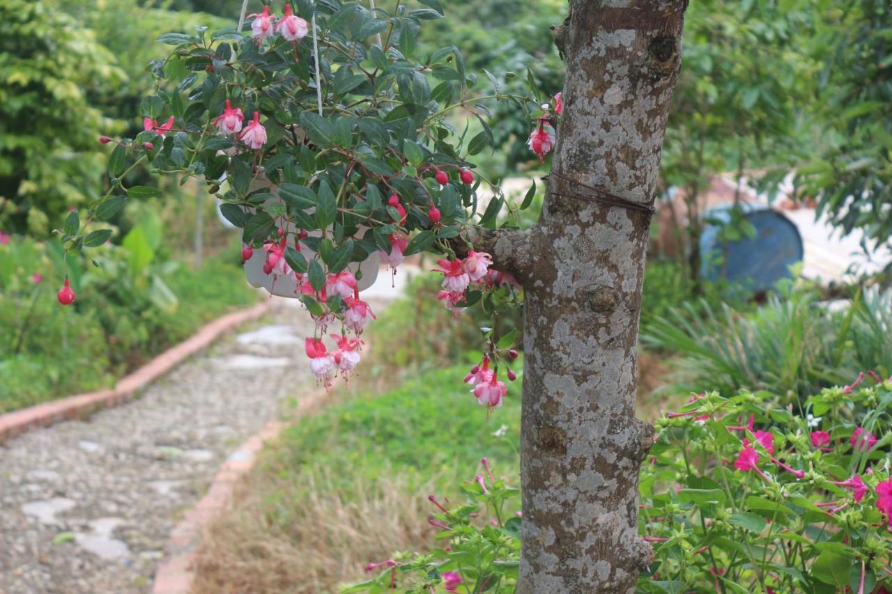 Thang Nam Ruc Ro - Dalat Homestay エクステリア 写真